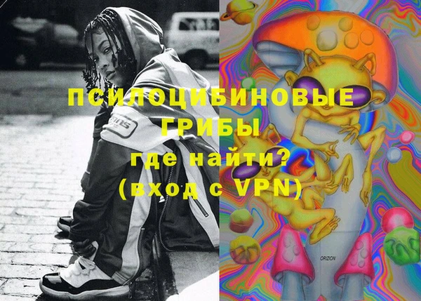 мдпв Алексин