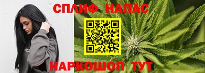 PSILOCYBIN Туймазы