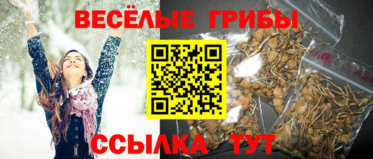 Псилоцибиновые грибы ЛСД  Вход с VPN  где купить   Тверь 